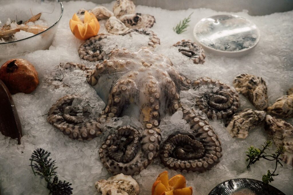 Cuttlefish and octopus on ice